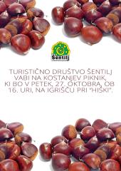 KOSTANJEV PIKNIK V ŠENTILJU